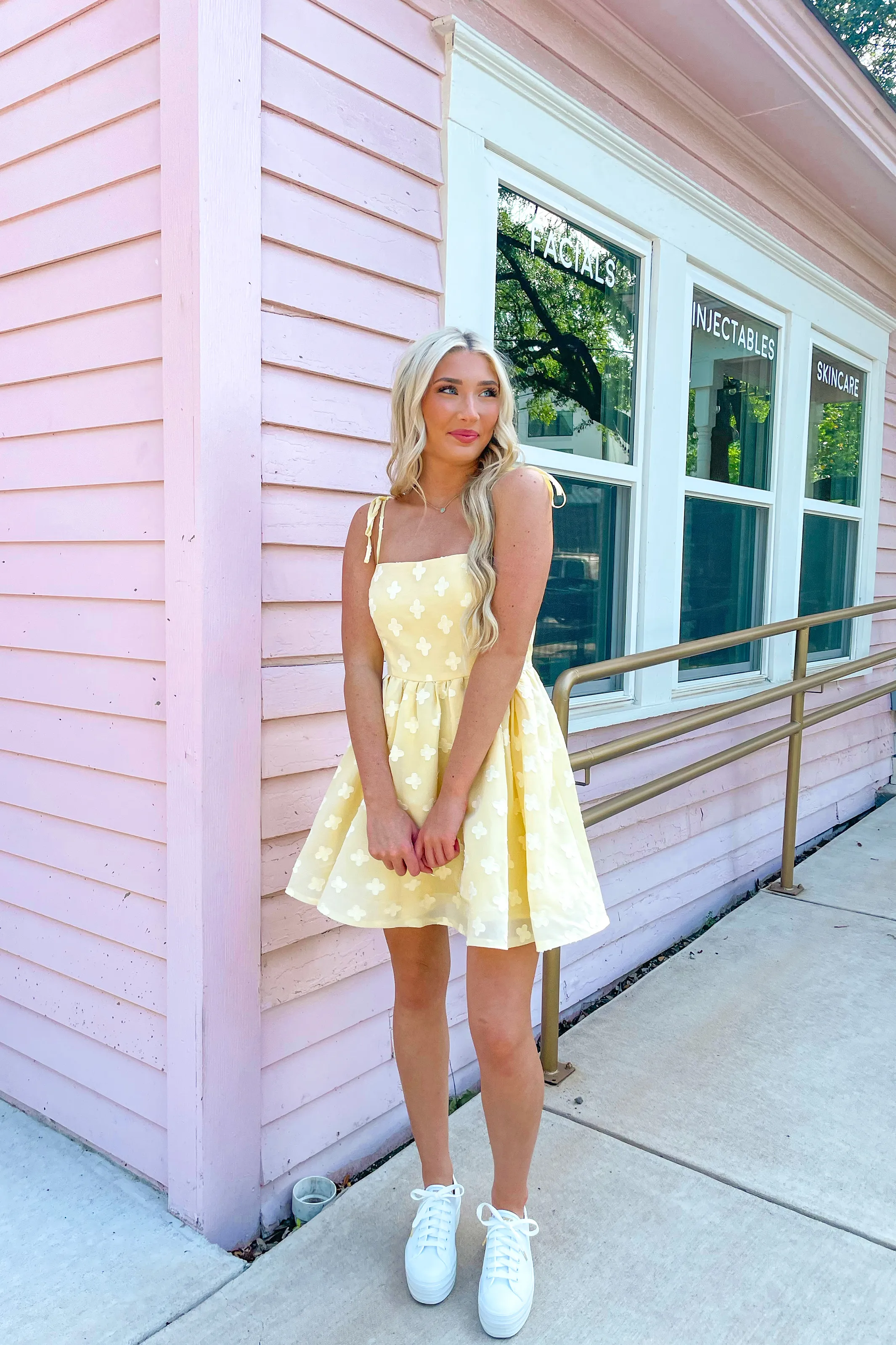 Lovely Day Mini Dress