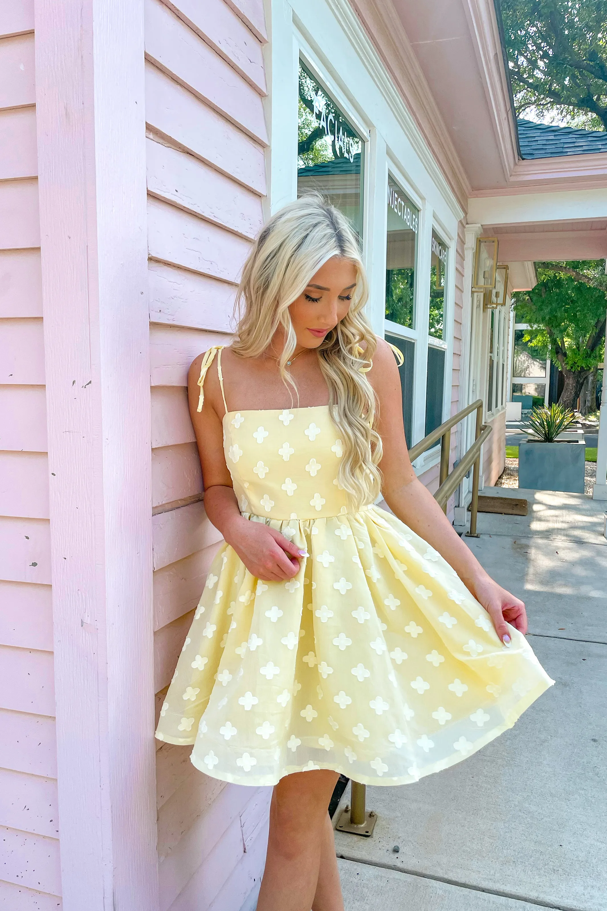 Lovely Day Mini Dress