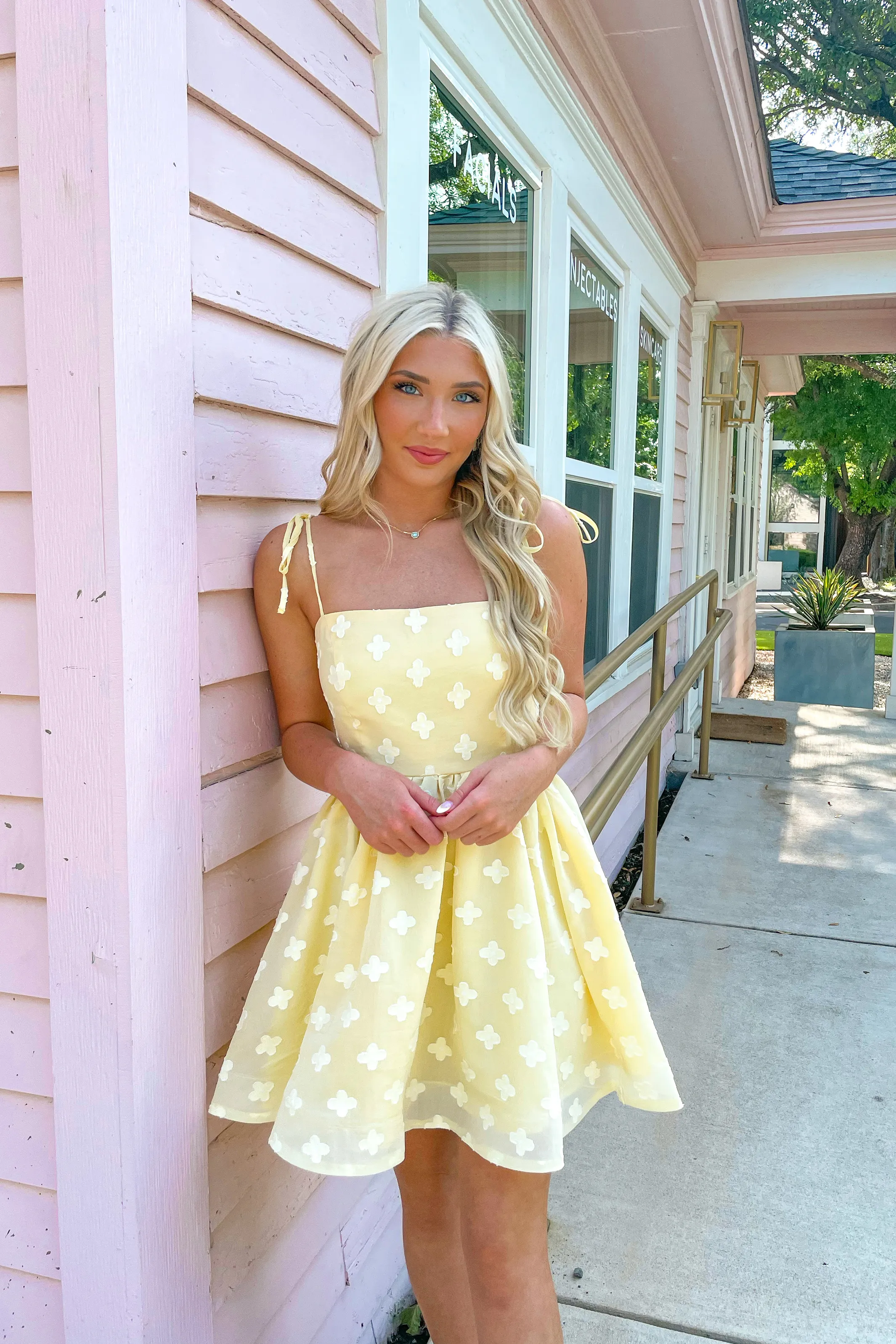 Lovely Day Mini Dress