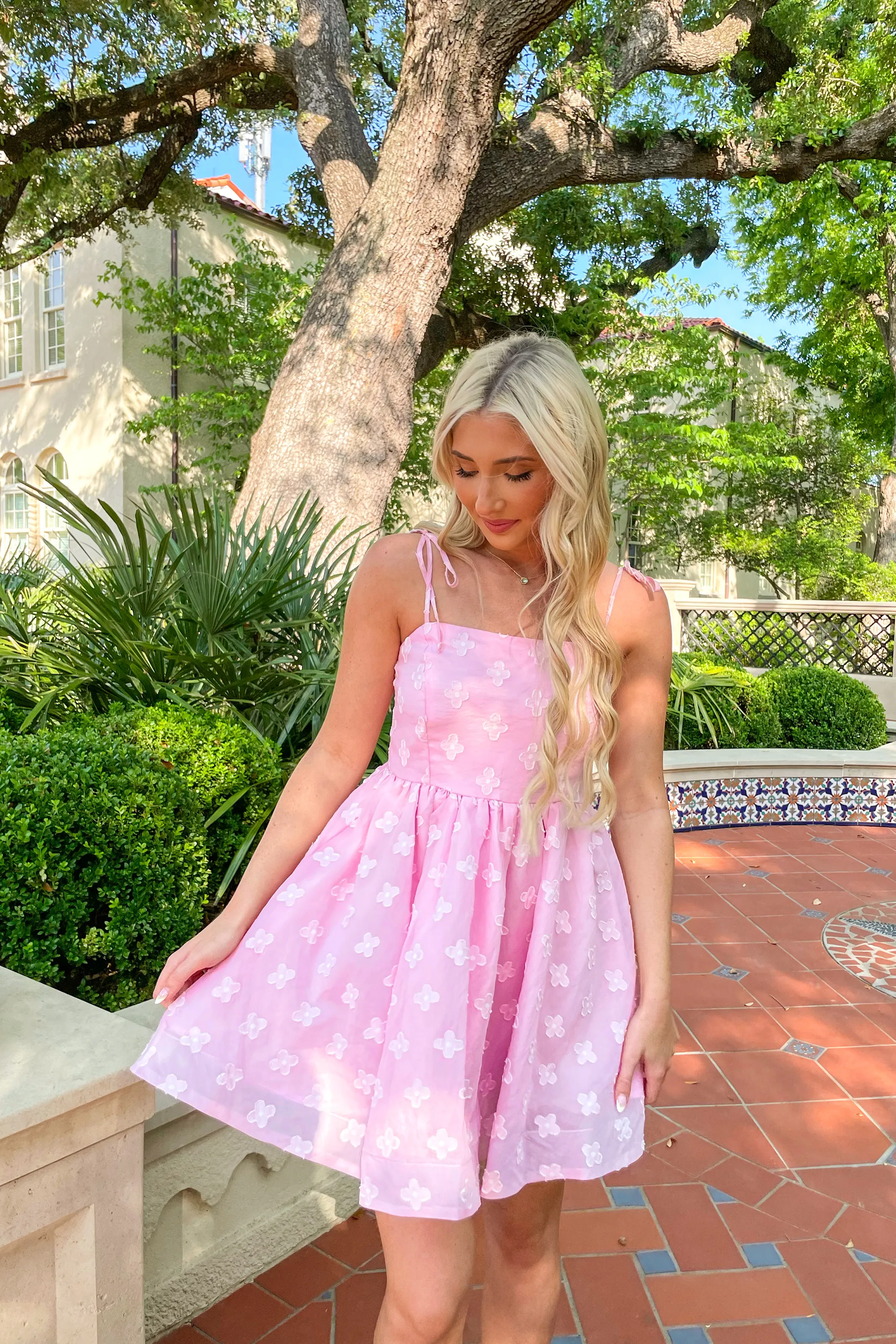Lovely Day Mini Dress