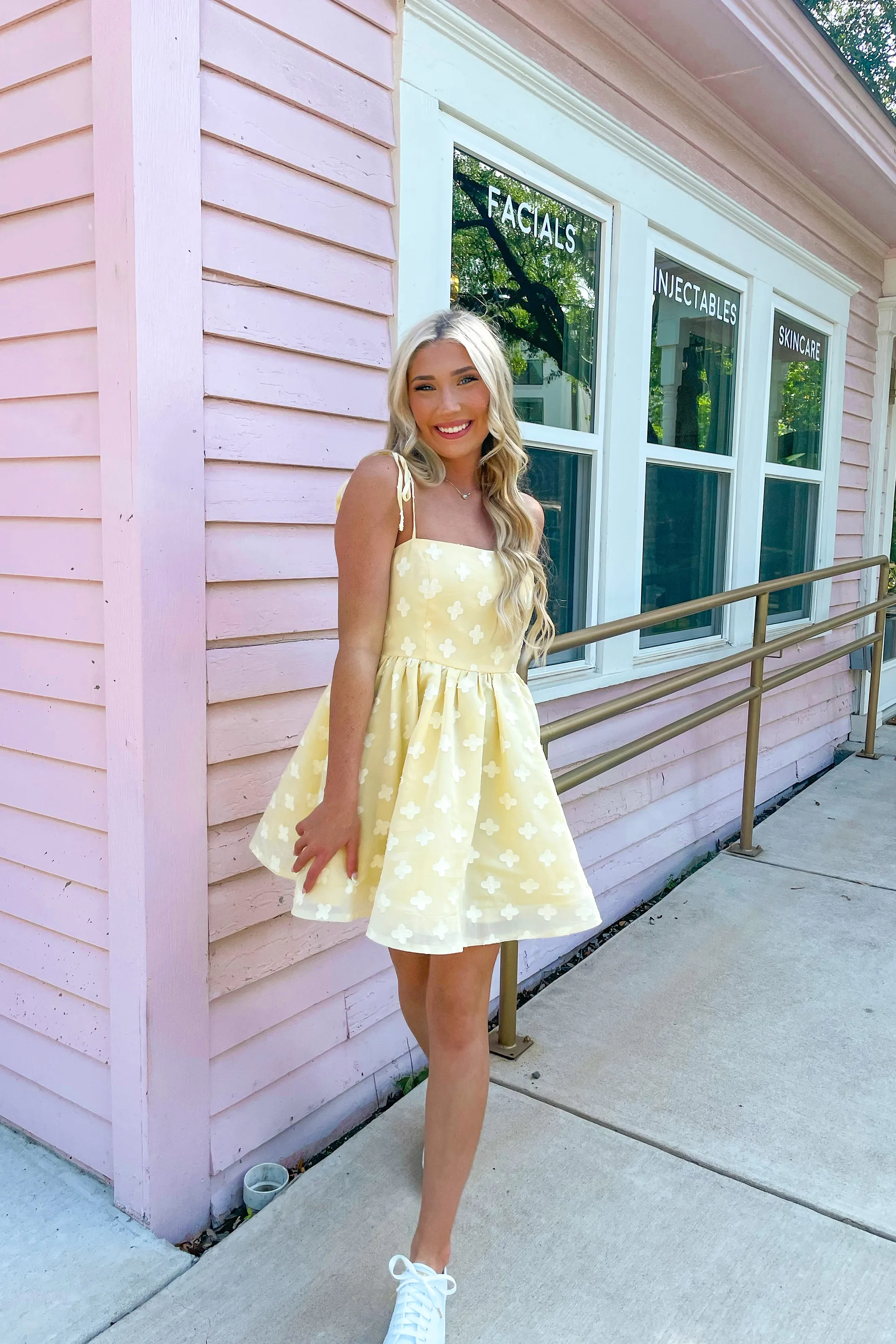 Lovely Day Mini Dress