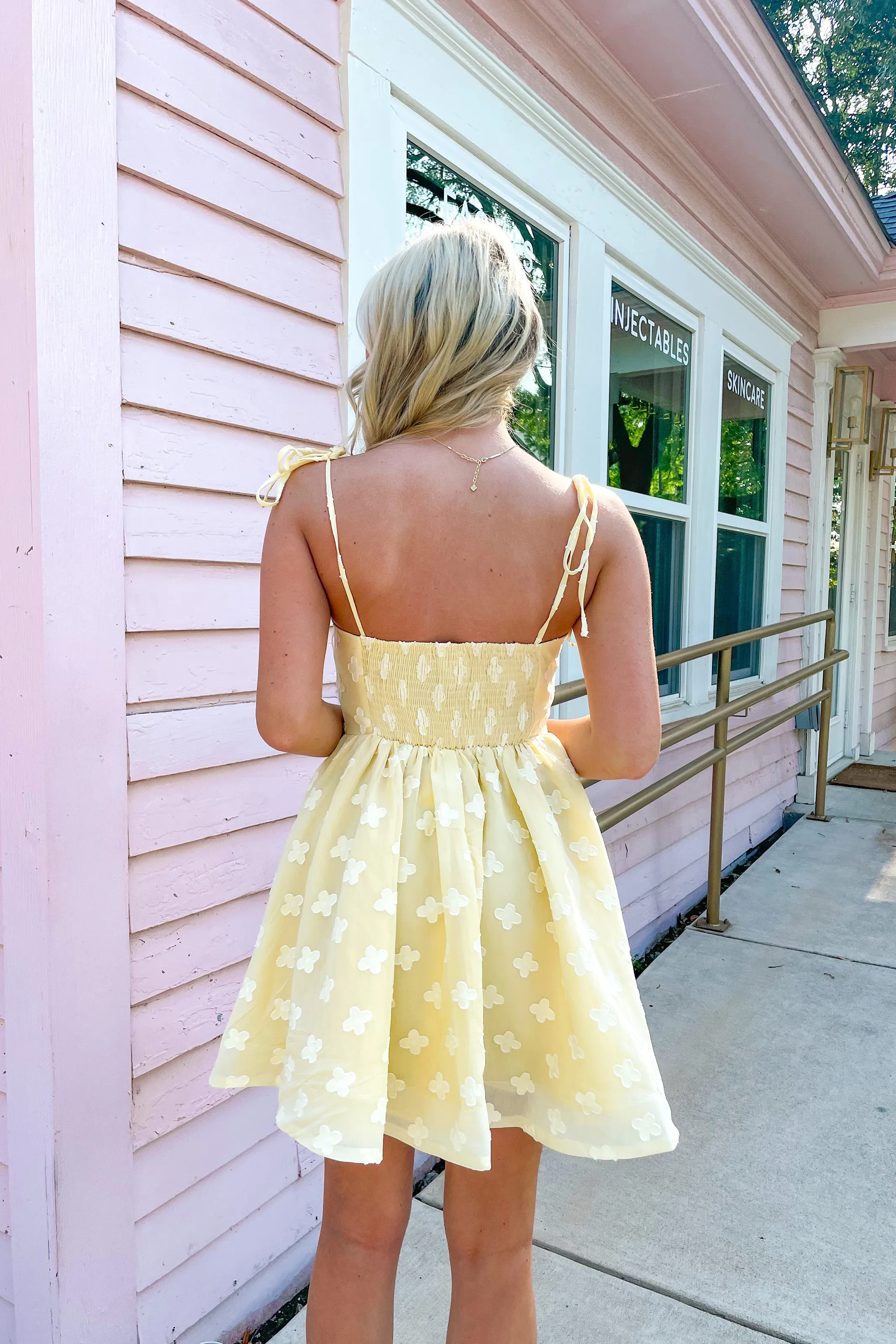 Lovely Day Mini Dress
