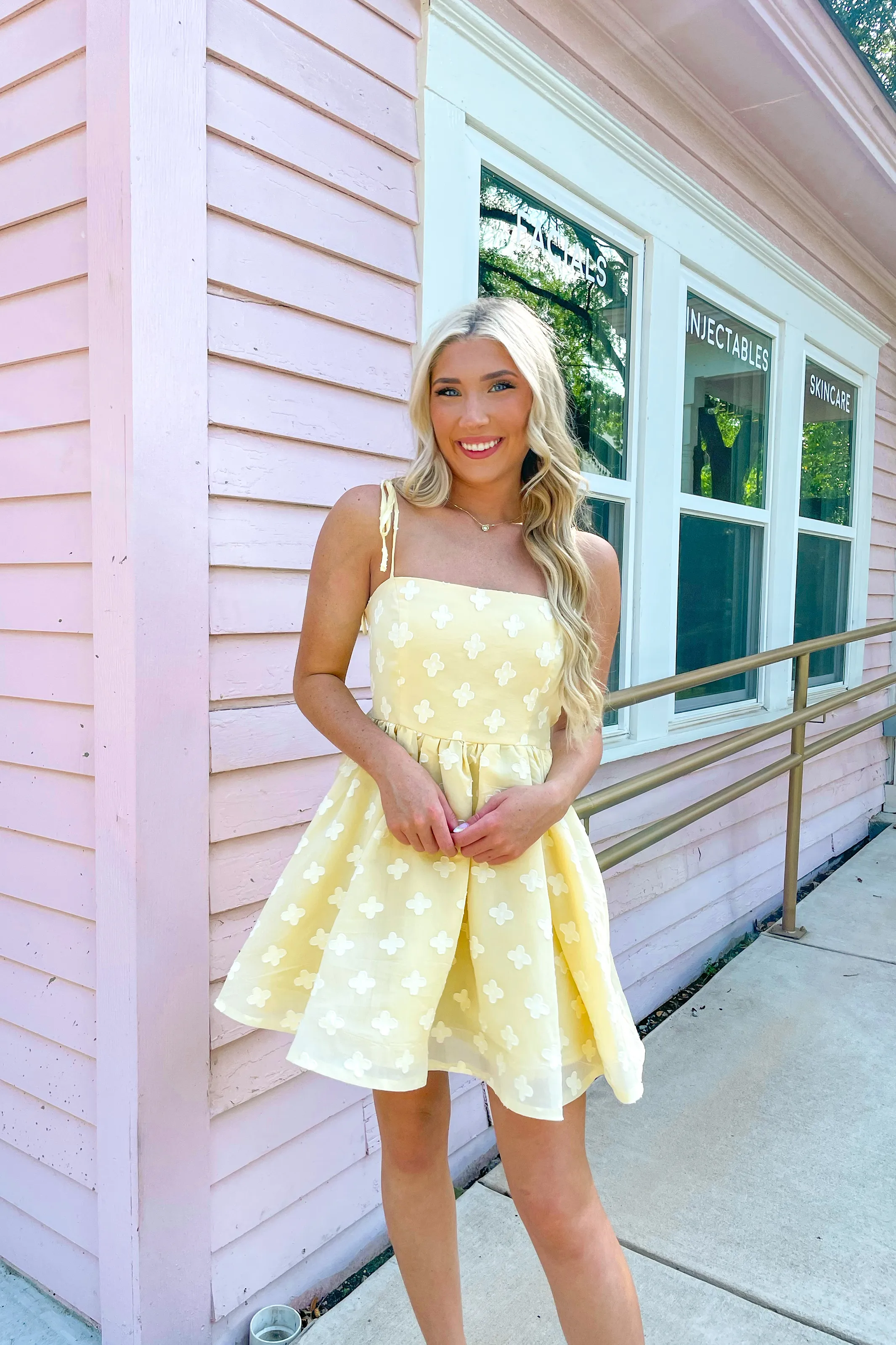 Lovely Day Mini Dress