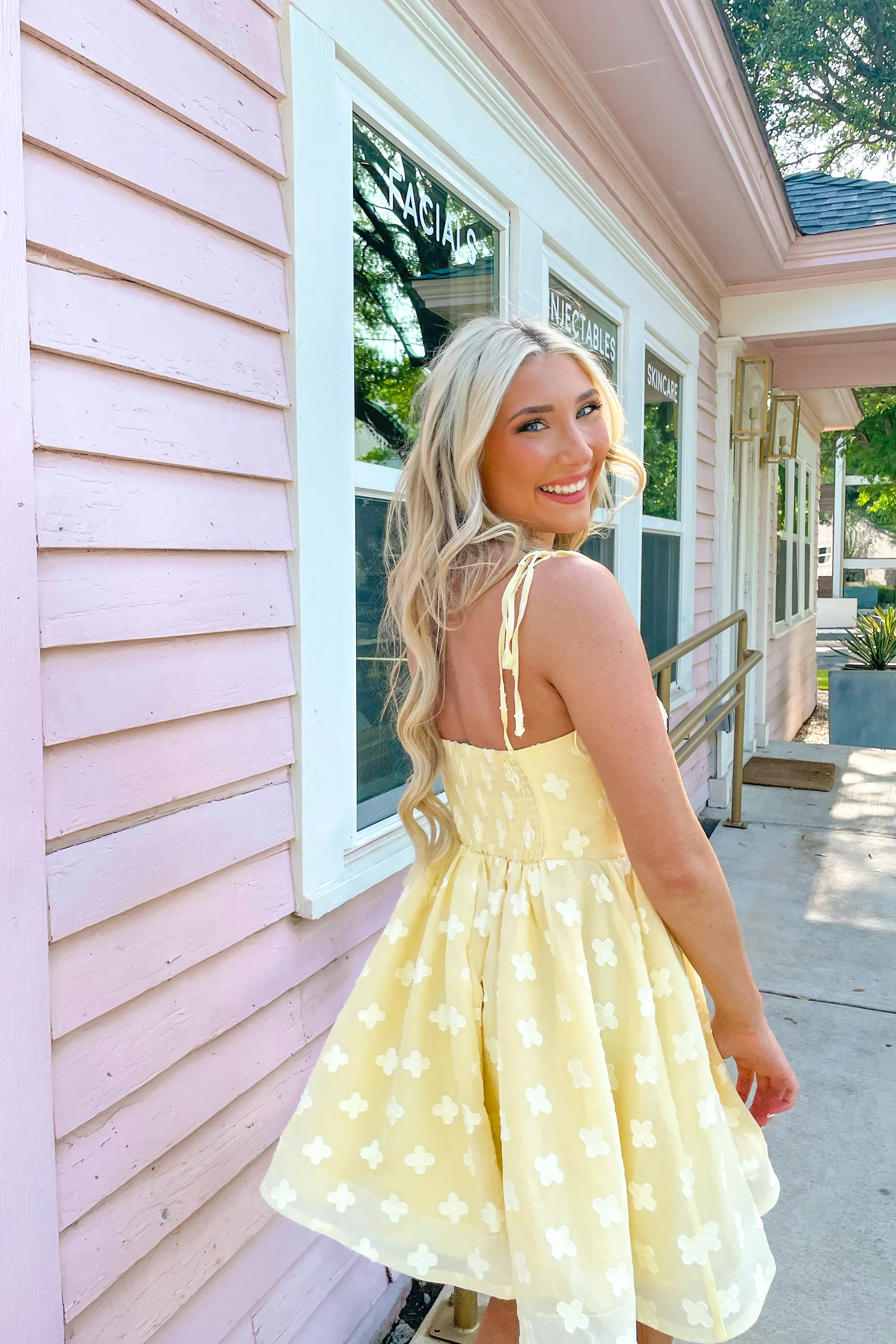Lovely Day Mini Dress