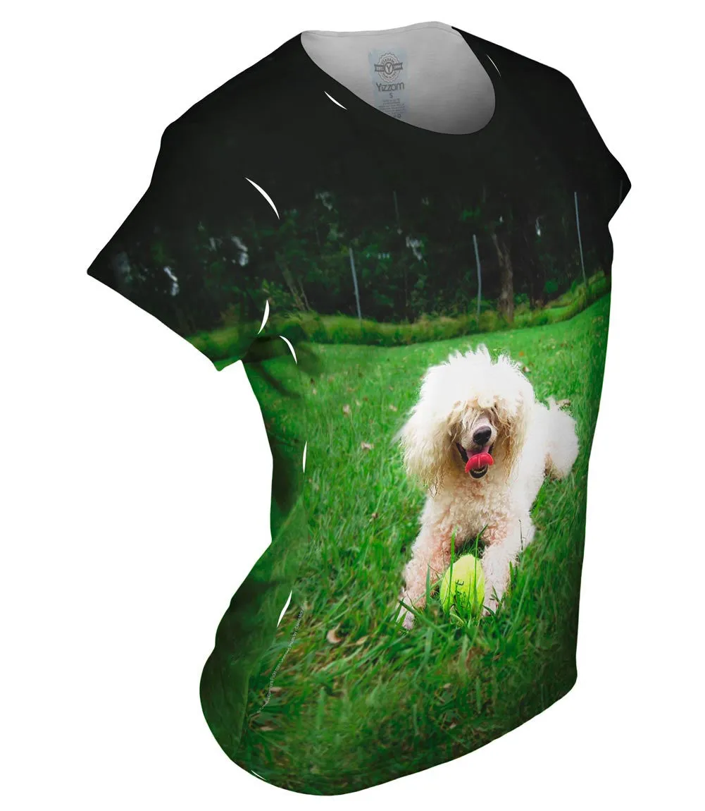 Shaggy Haired Poodle