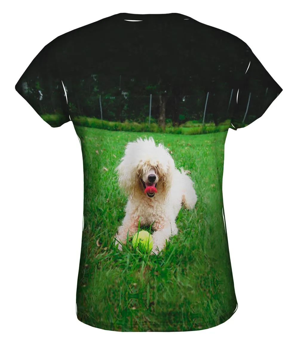 Shaggy Haired Poodle