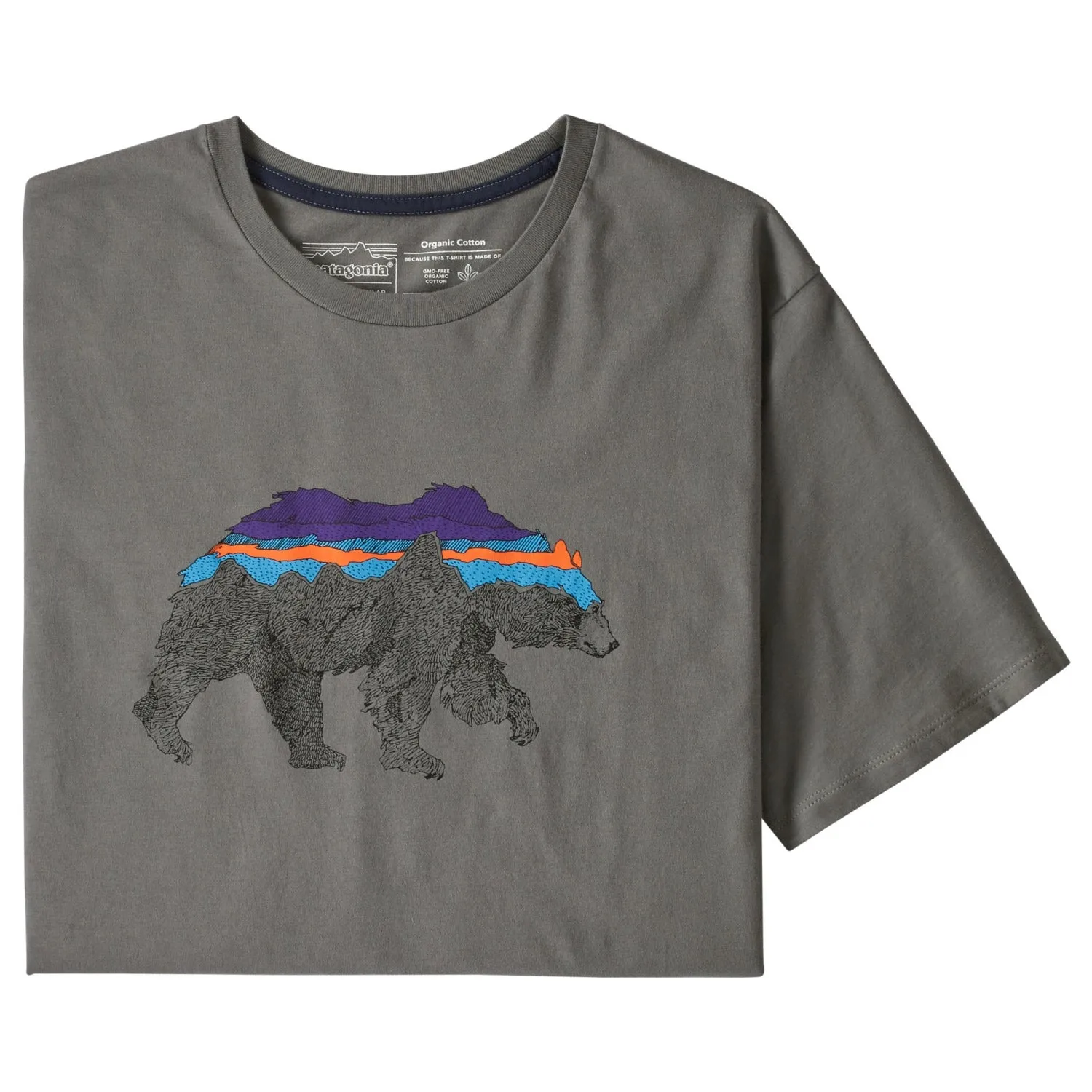T-Shirt Patagonia Back for Good - Grigio